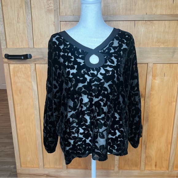 Mystree Tops - Mystree Size Small | Black Velvet Sheer | STUNNING| Women's Long Sleeve Top